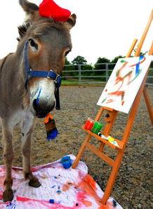 喂驴打一嘴巴子吃瓜娱乐